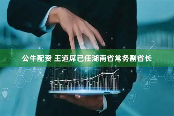 公牛配资 王道席已任湖南省常务副省长